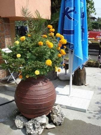 Mavrikova Kushta Hotel Bansko Exterior photo
